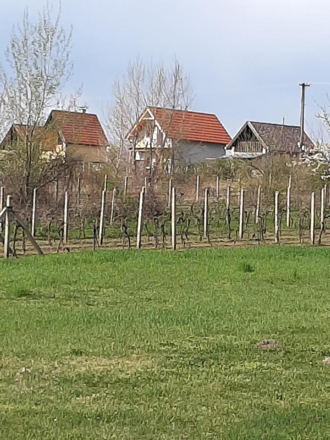 Grapeline Guesthouse Chotin Buitenkant foto