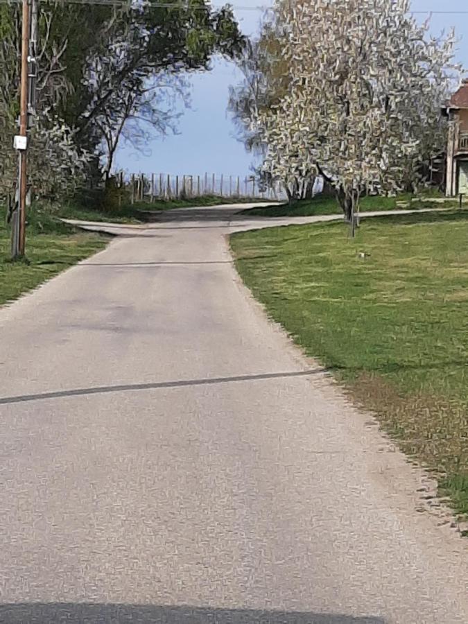 Grapeline Guesthouse Chotin Buitenkant foto