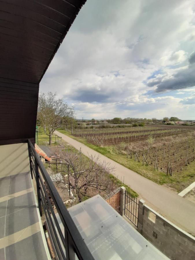 Grapeline Guesthouse Chotin Buitenkant foto