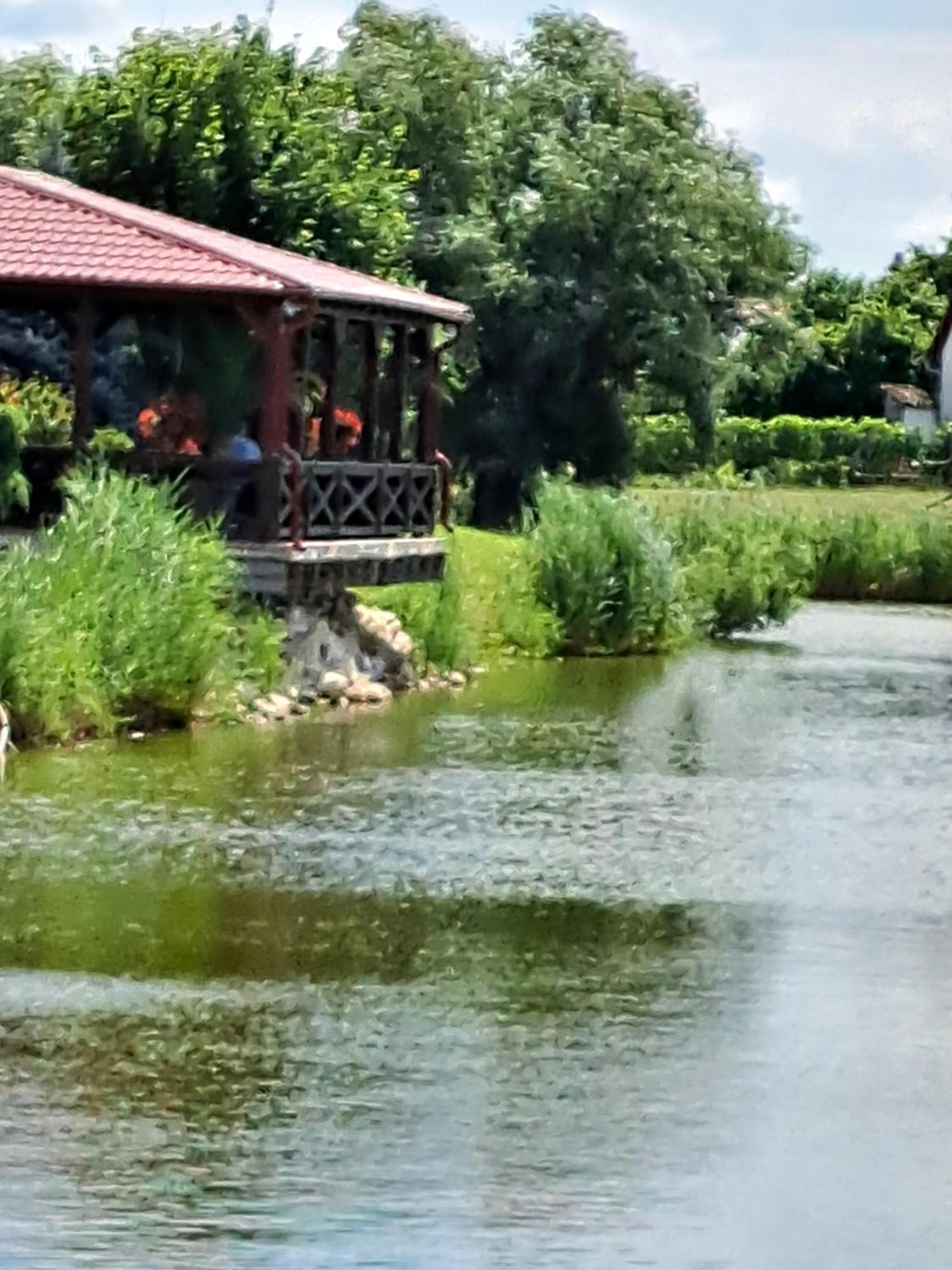 Grapeline Guesthouse Chotin Buitenkant foto
